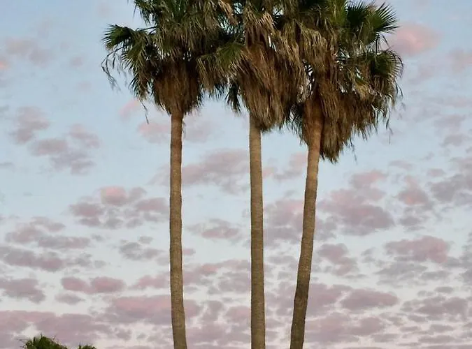 A 25 Metros Del Mar Binisafua